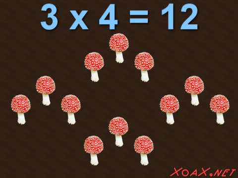 product of toadstools