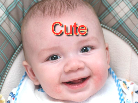 cute picture