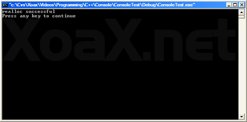 realloc() Output