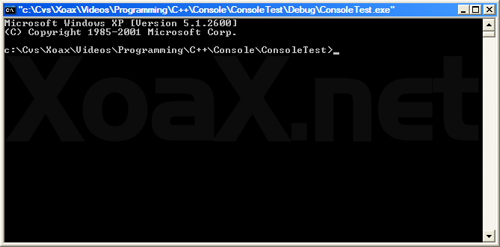 system() Output