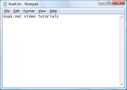 fgetws() Input File