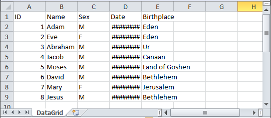 Excel CSV File