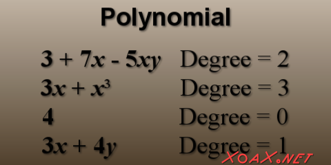 Polynomials